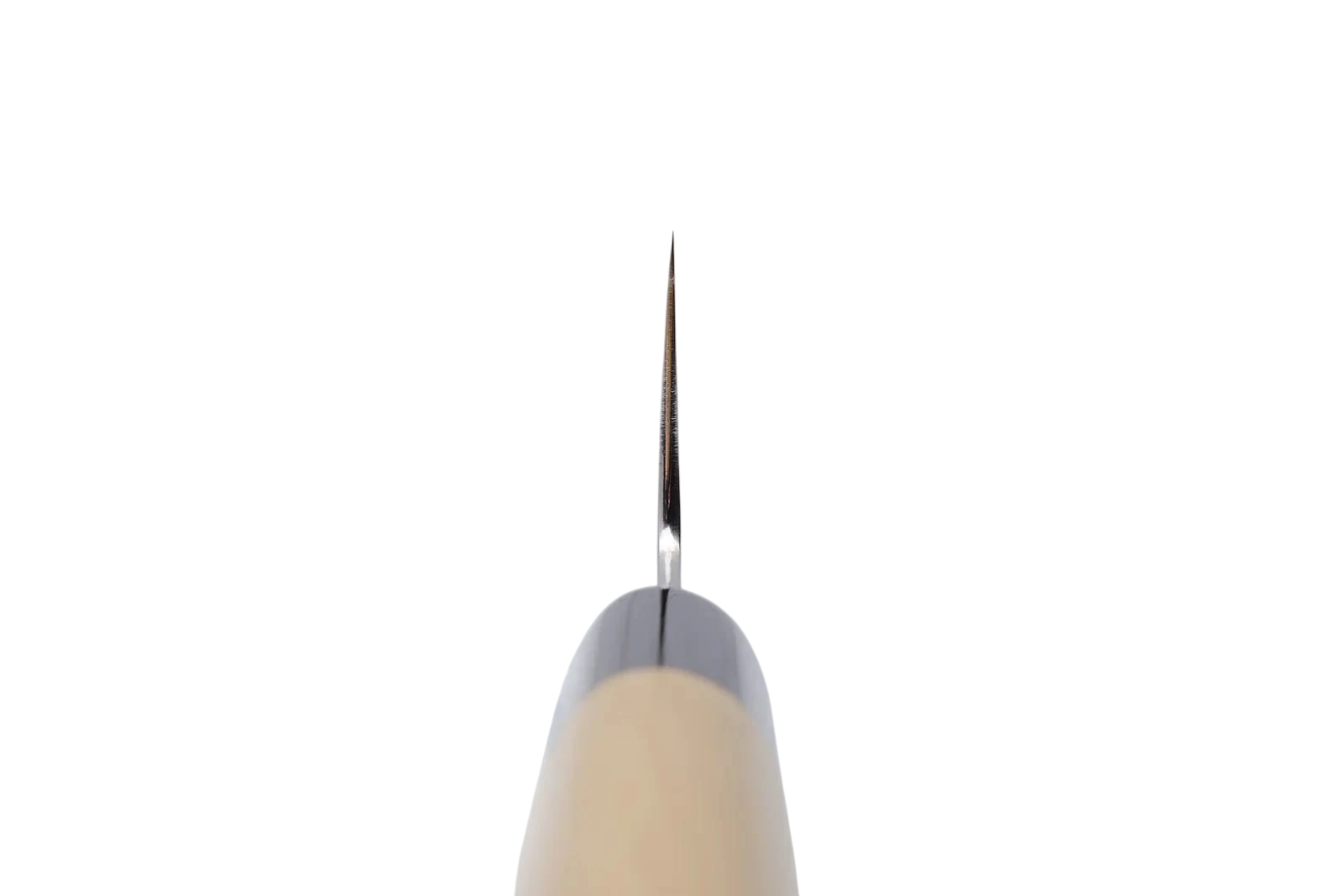 Sakai Kanechika 210mm Gyuto AUS10_ _ _ _SK - A1D - GY2103. Kokkekniv by Fujii Hamono