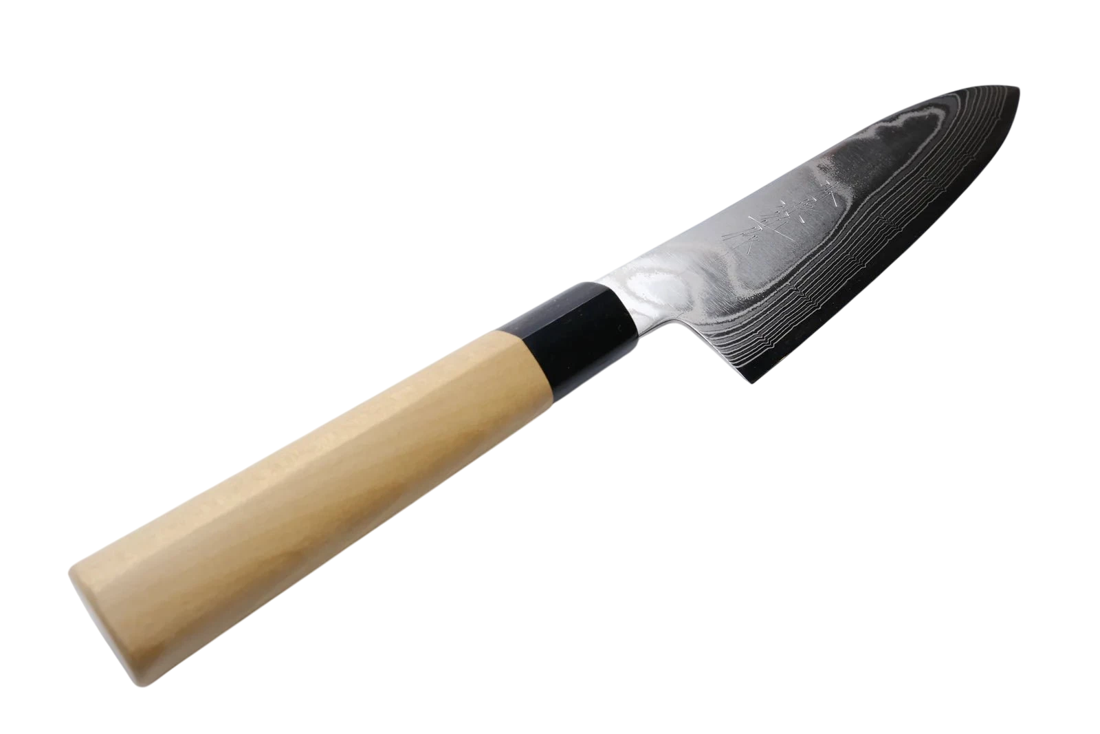 Sakai Kanechika 210mm Gyuto AUS10_ _ _ _SK - A1D - GY2108. Kokkekniv by Fujii Hamono