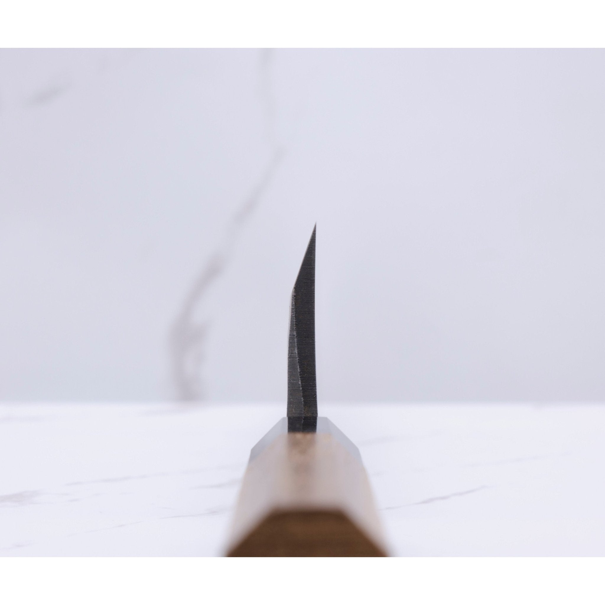 Hatsukokoro Shirasagi 180 mm Kiritsuke Deba Aogami - 2_ _ _ _HK - SG - KDB1808. Deba by Hatsukokoro