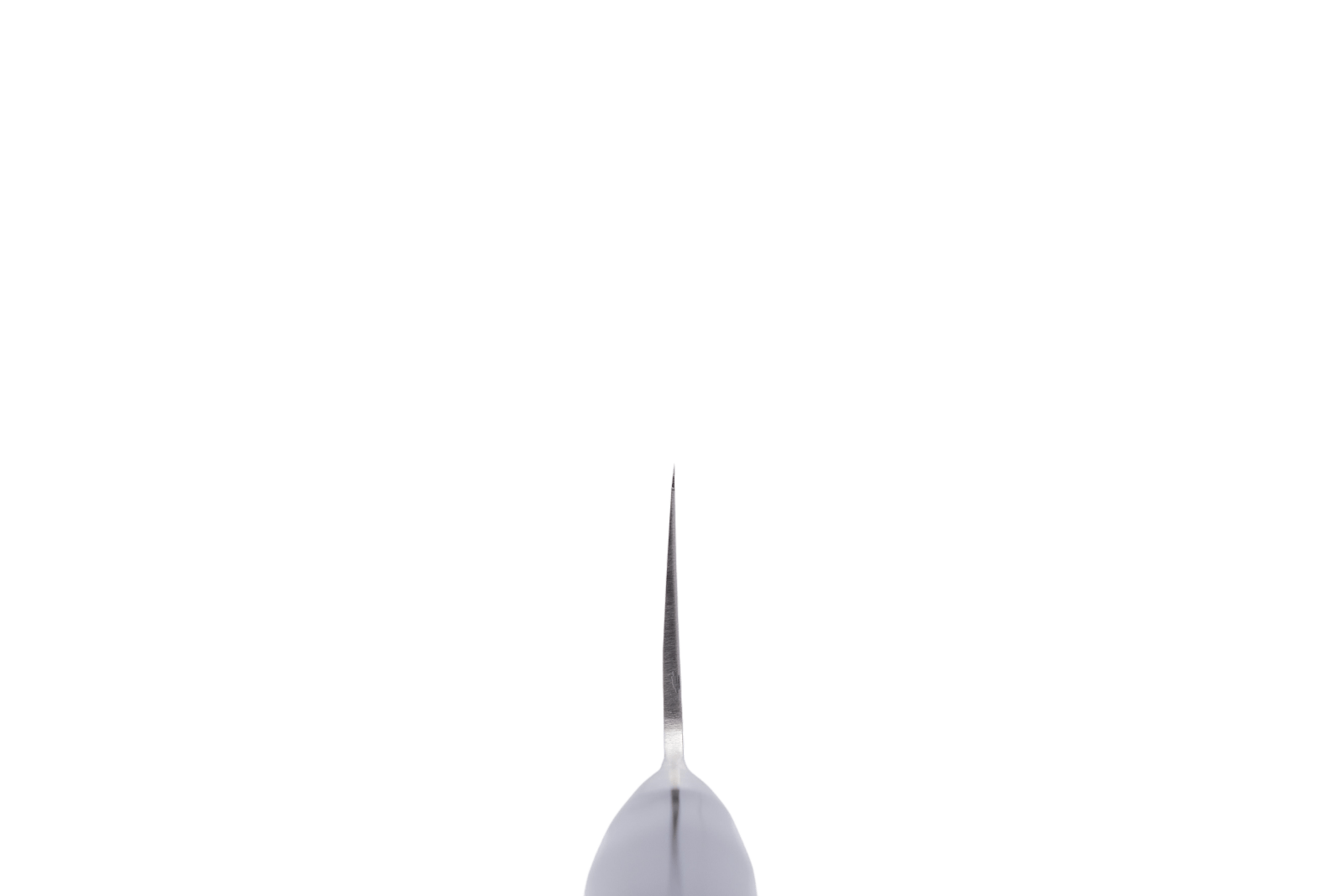 KAI Shun Pro Sho 210 mm Deba _8