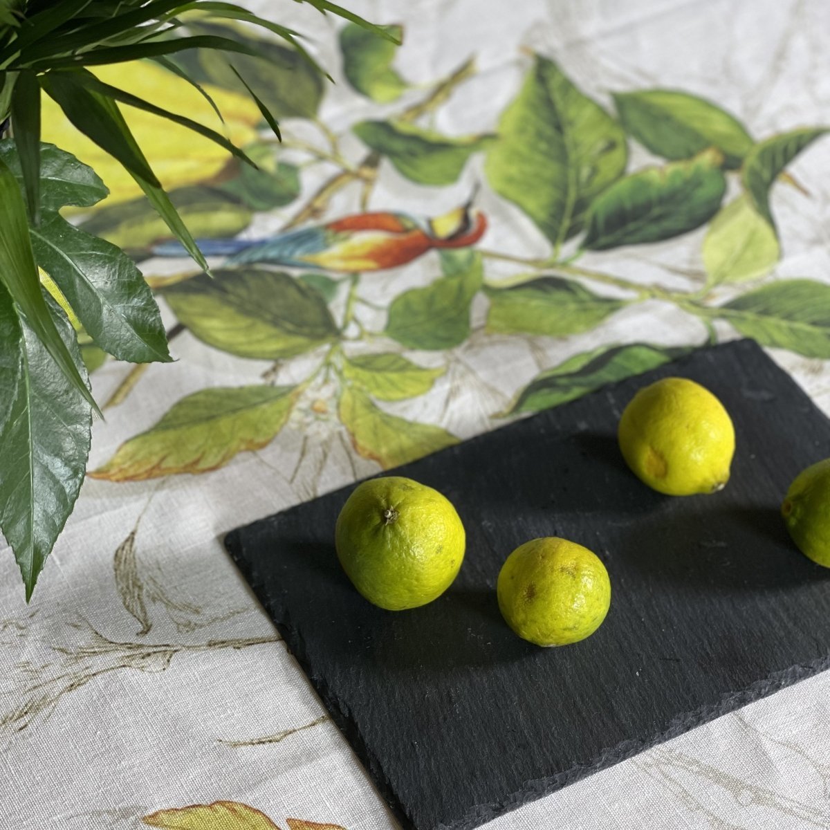 Tessitura Toscana Telerie Duge 3 by Rune - Jakobsen Design