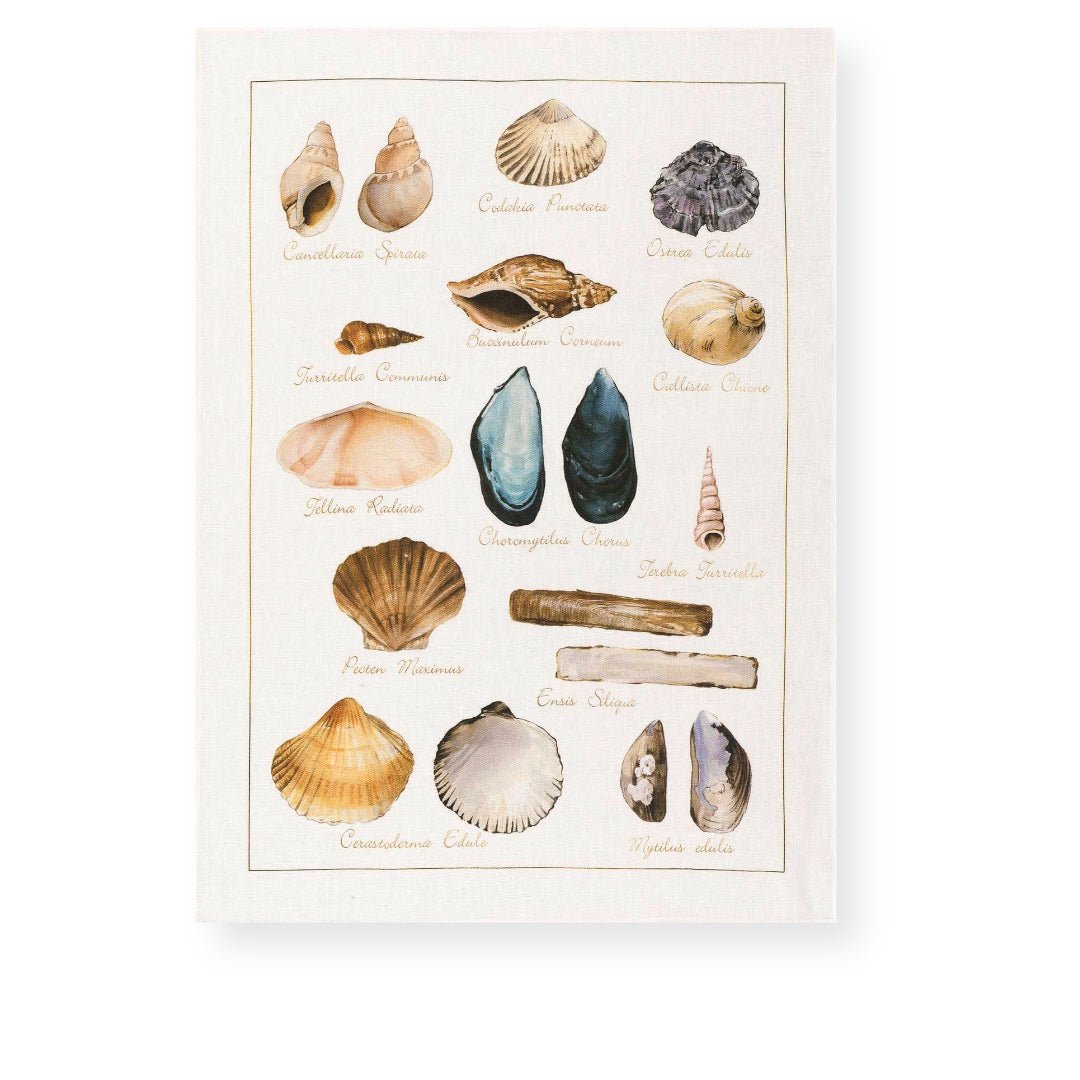 Tessitura Toscana Telerie 'La Mer conchiglie' hørviskestykke _1