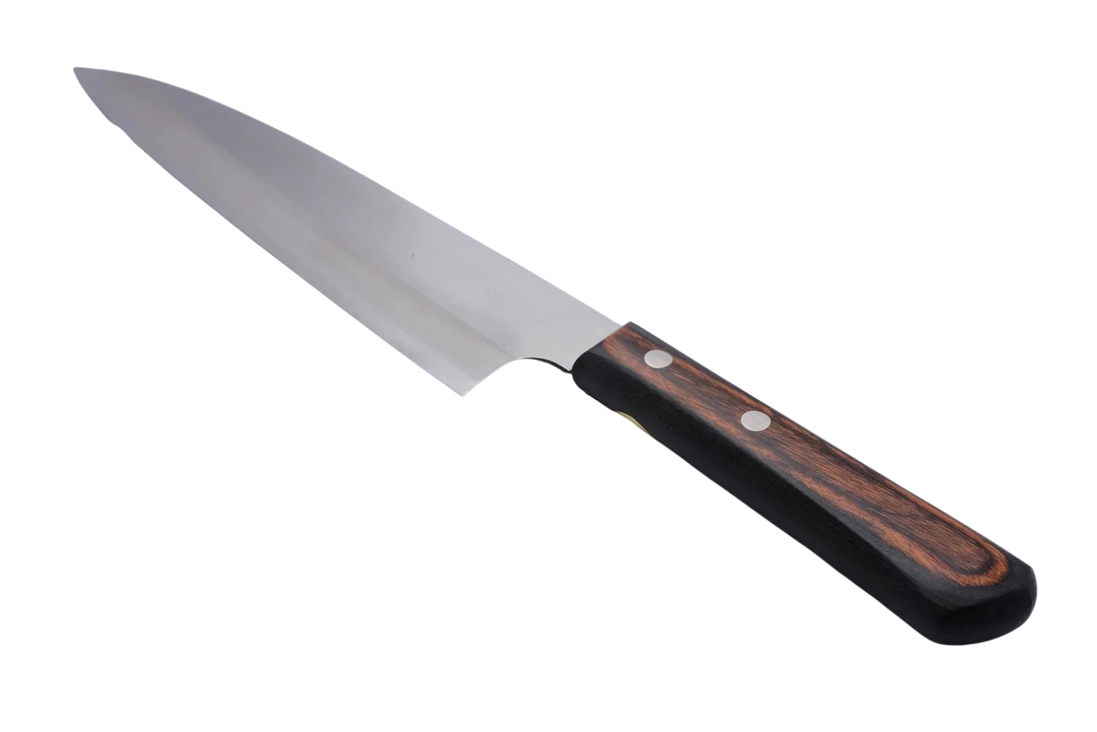Sakai Kanechika 210 mm Kokkekniv Aogami - 2_ _ _ _0408052. Kokkekniv by Fujii Hamono