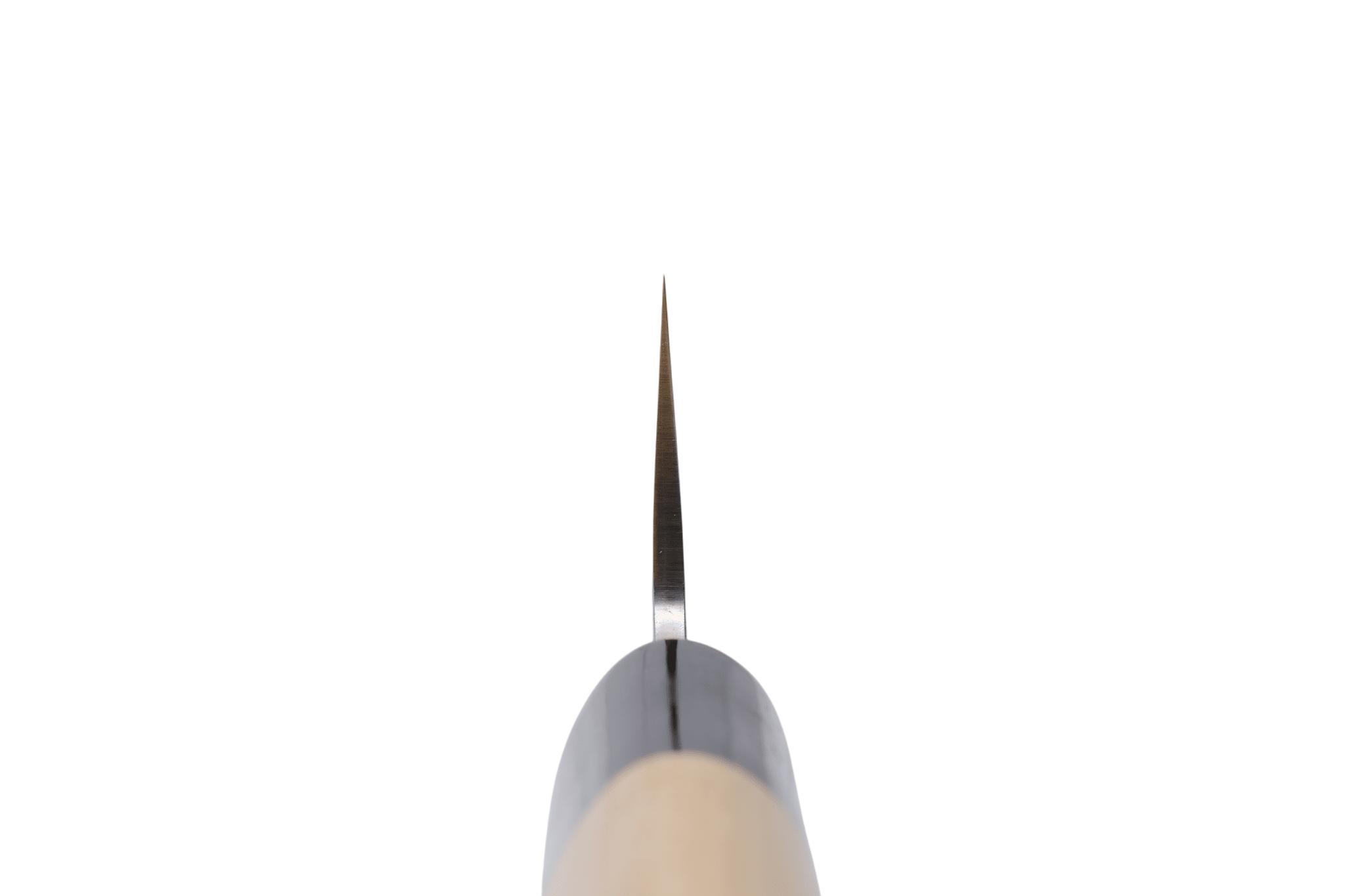 Sakai Kanechika 210mm Gyuto Gin3_ _ _ _SK - G3H - GY2108. Kokkekniv by Fujii Hamono