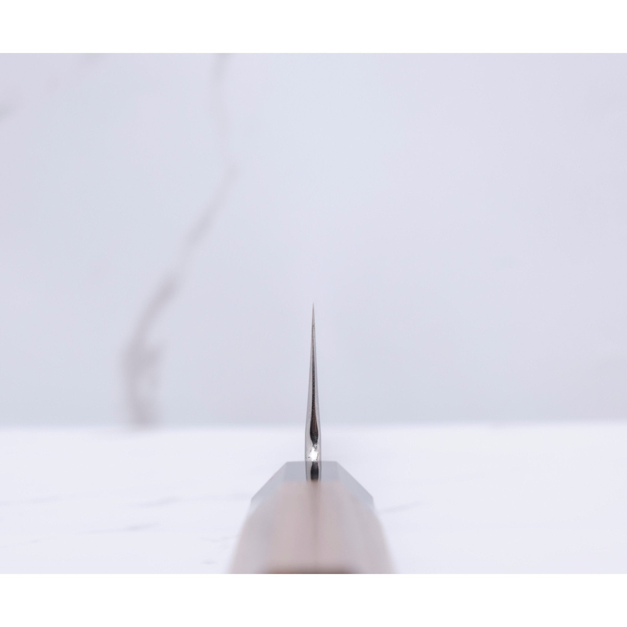 Satoshi Nakagawa 240 mm Kokkekniv K - Tip Gin - 3_ _ _ _NS - GIN3 - KGT2408. Kokkekniv by Nakagawa Satoshi